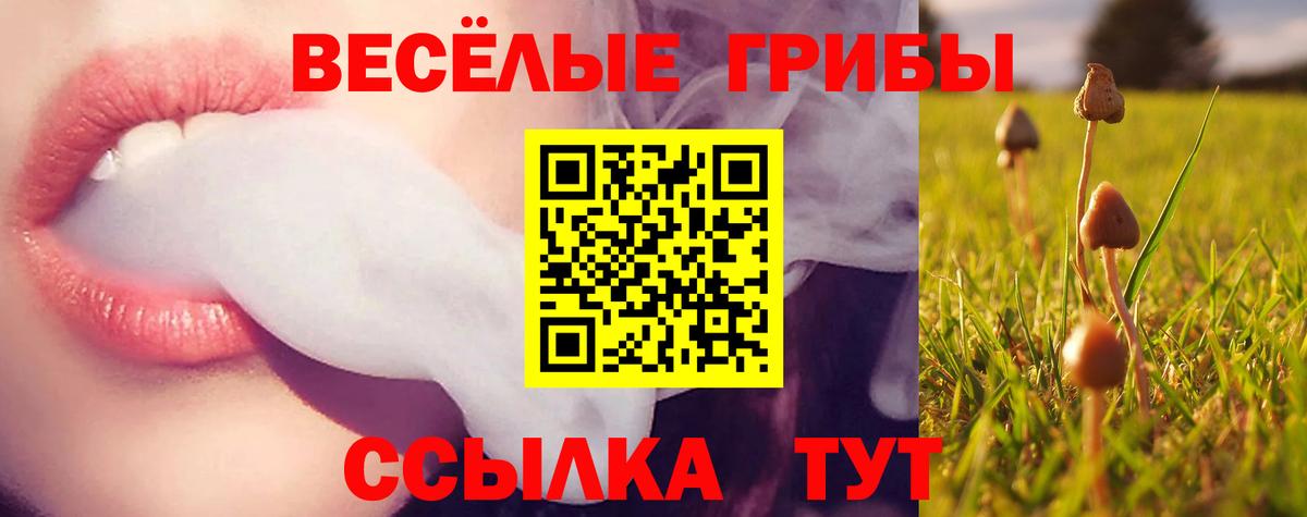 Чехов  Псилоцибиновые грибы Psilocybine cubensis  Псилоцибиновые грибы Cubensis  Вход с VPN 